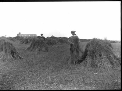 Archived Images\Photo images\Phd\7001P-7500P\7316P.jpg; 7316P; ;